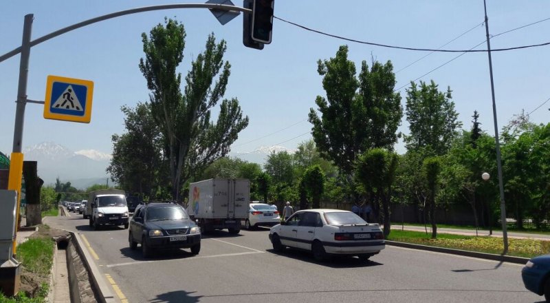 Куәгер жолдаған сурет