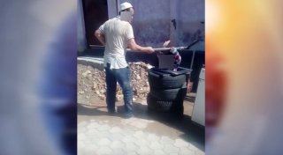 Видеодан скриншот