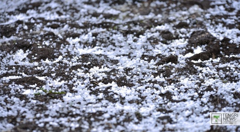 © Тұрар Қазанғапов