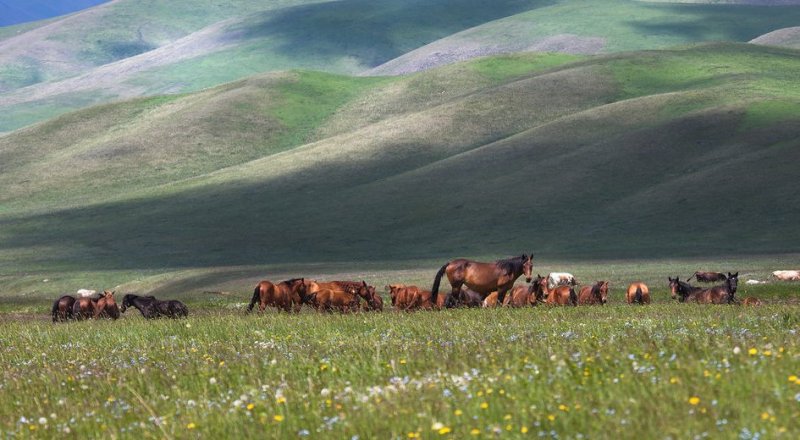 © wallpapers.99px.ru