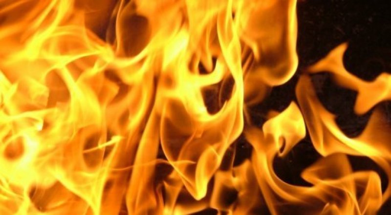 Иллюстрациялық сурет