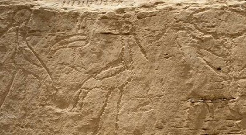 Йель университеті