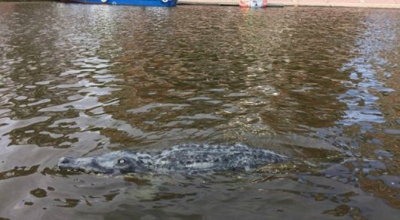 © facebook.com/ruslan.yeskendir