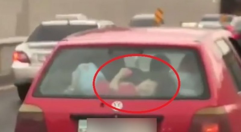 Видеодан скриншот