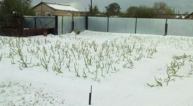 © Instagram / elmira0704