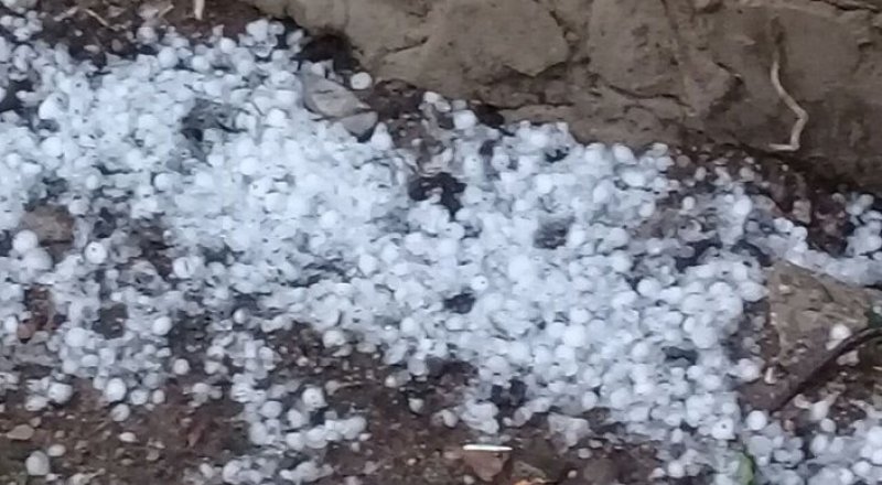 © Качесова Татьяна/Сорокопудова Татьяна