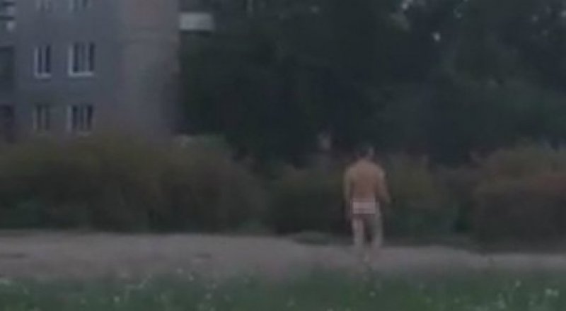 видеодан үзінді