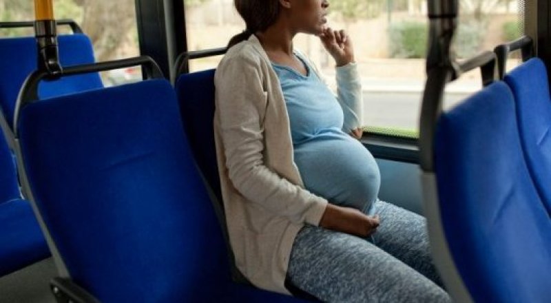 Сперматозоидтағы пизканы жалады