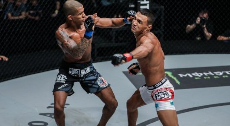 © onefc.com