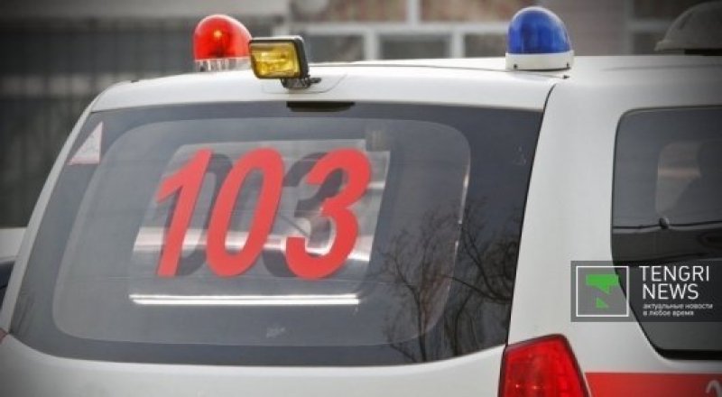 © Николай Колесников