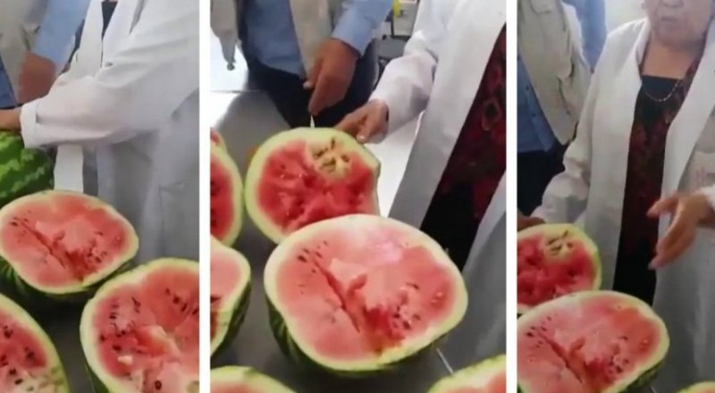 Видеодан алынған кадр