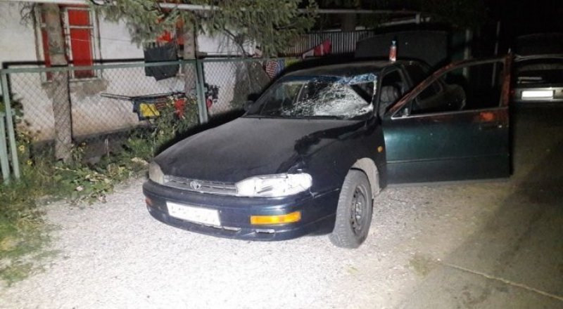 © Алматы қалалық ІІД баспасөз қызметі