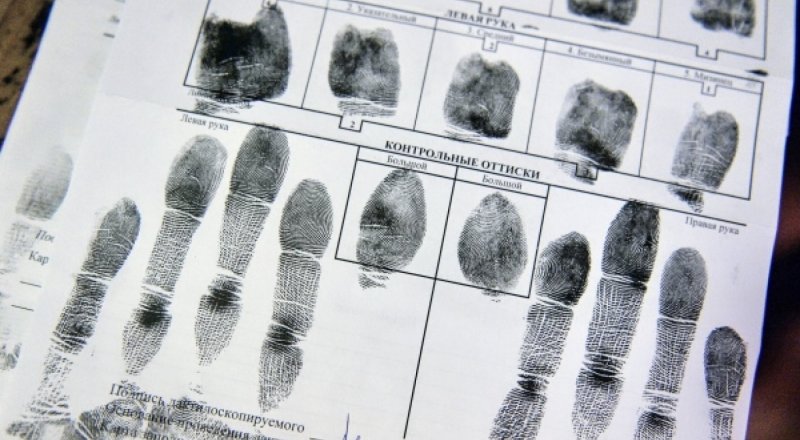 © РИА Новости