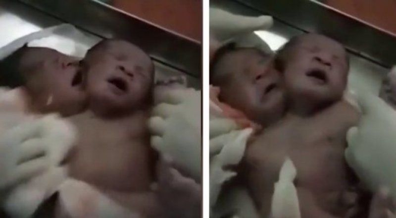 видеодан үзінді