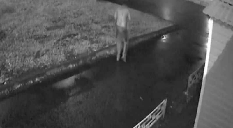 Видеодан алынған кадр