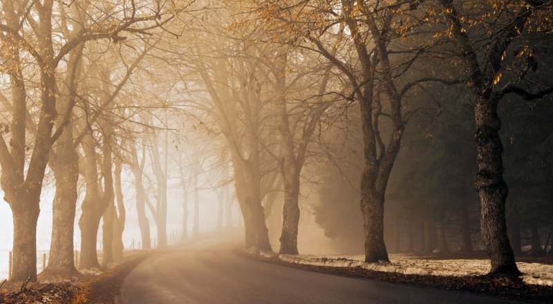 Иллюстрациялық сурет: goodfon.ru