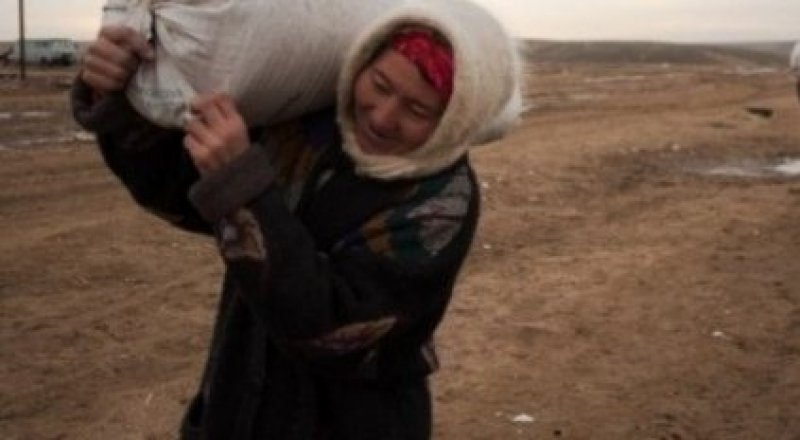 Иллюстрациялық сурет. © Times.kz