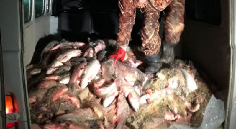 © Атырау облысының Өңірлік коммуникациялар қызметі