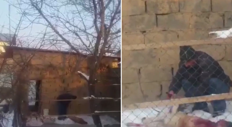 видеодан үзінді