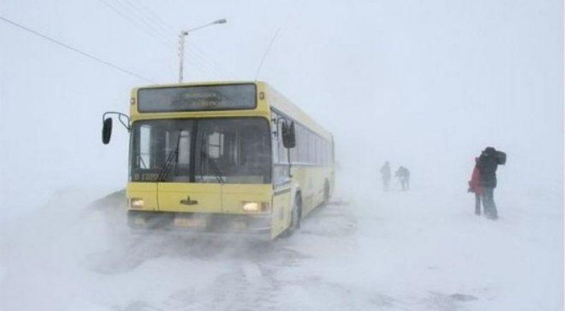 Иллюстрациялық сурет © nikvesti.com