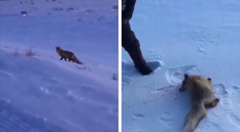 Видеодан алынған кадр