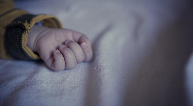 © TV Губерния