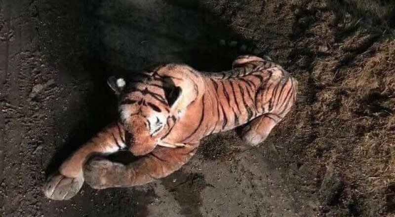 © Twitter/UK Cop Humour