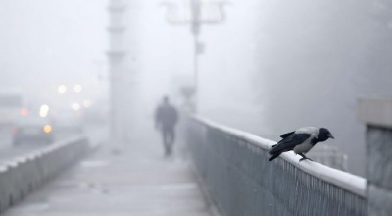 © photo.bymedia.net