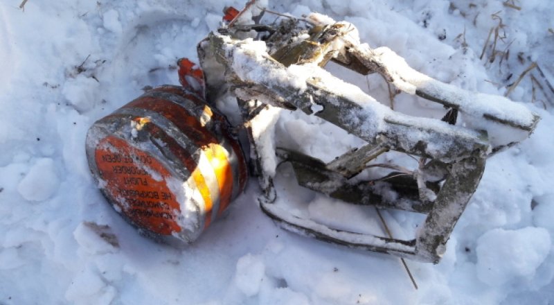 © РИА Новости