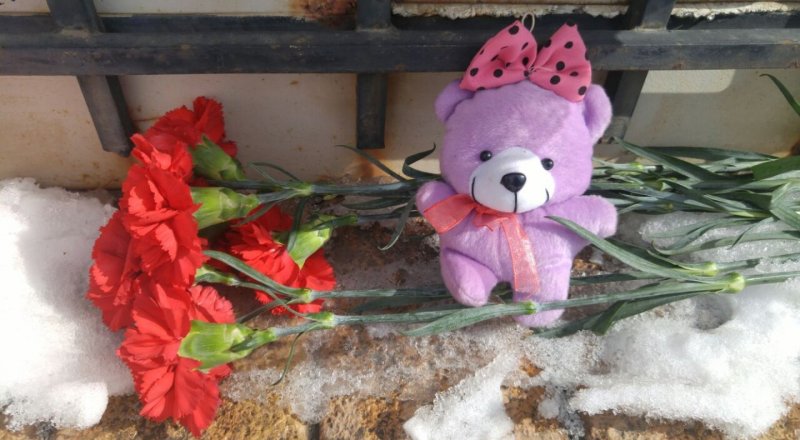 © РИА Новости