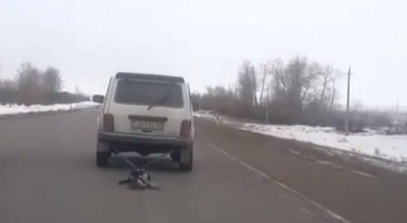 видеодан үзінді