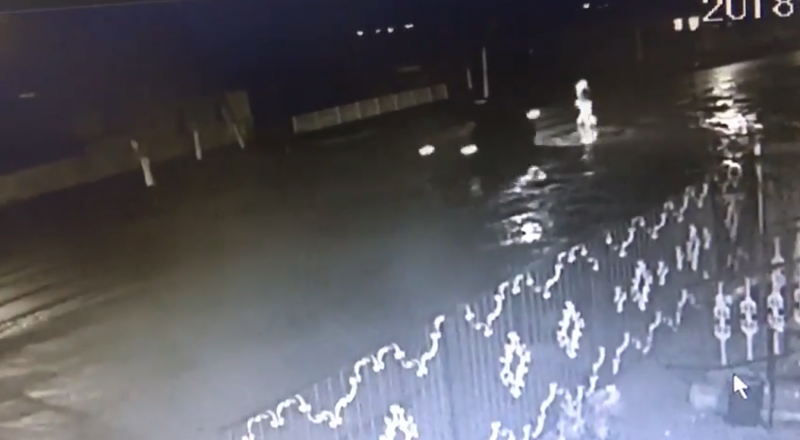 видеодан үзінді