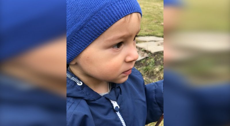 Росина Павлова жолдаған сурет