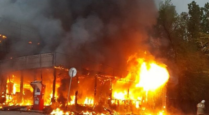 Куәгер жолдаған сурет.