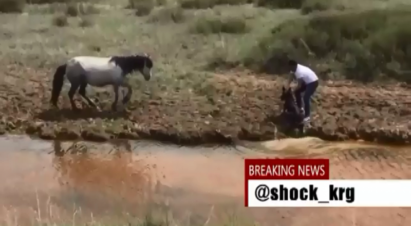 Видеодан алынған кадр