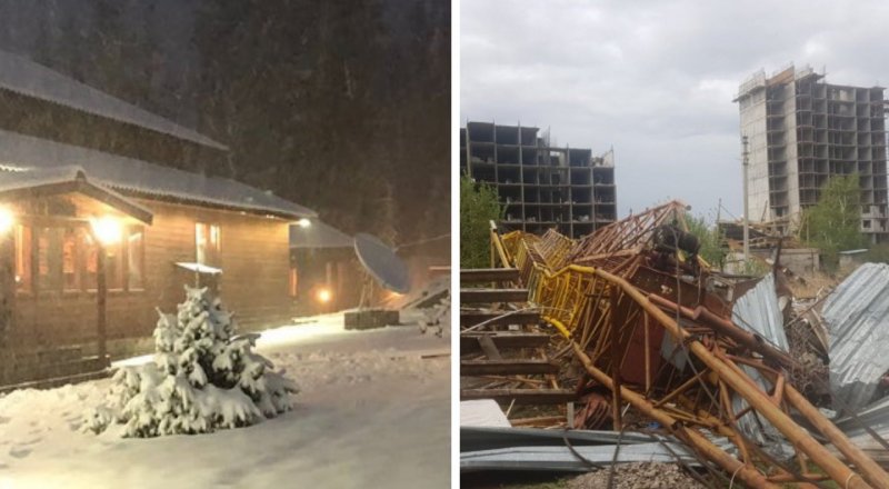 Суреттер әлеуметтік желдіен