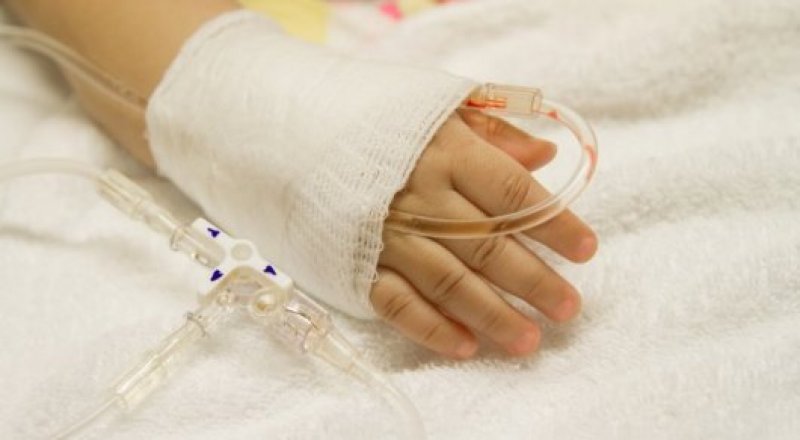 Иллюстрациялық сурет: dvinatoday.ru