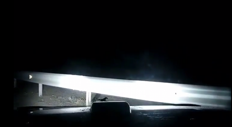 Видеодан алынған кадр