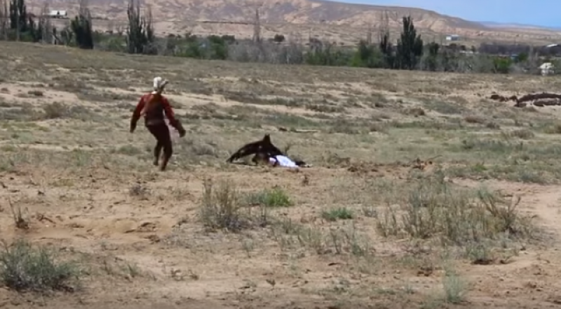 Видеодан алынған кадр