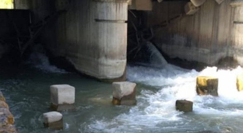 © instagram.com/volontery_taraza_rina.kz 