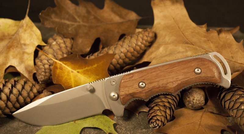 Догги стиліндегі жалаңаш есек фото