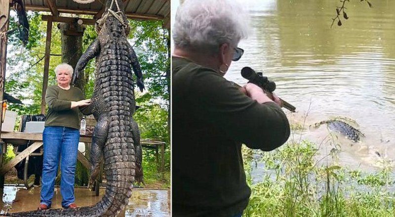 Видеодан алынған кадр