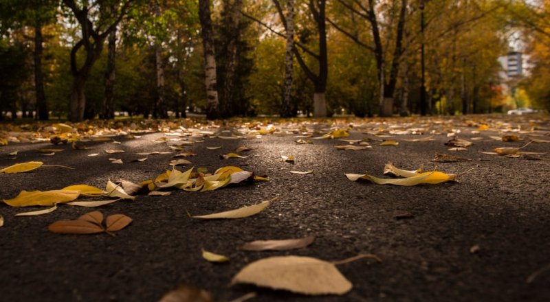 © Тұрар Қазанғапов