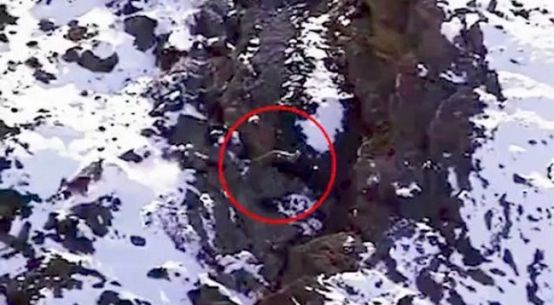 Видео кадры