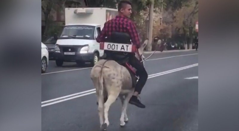 видеодан үзінді