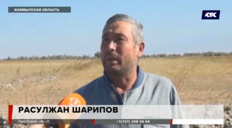 КТК телеарнасының кадры 