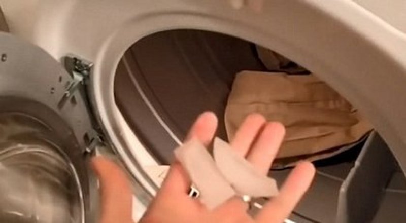 © HelloIamBear / YouTube