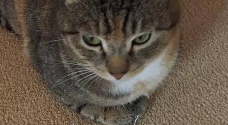 © facebook.com/Angela Tinning