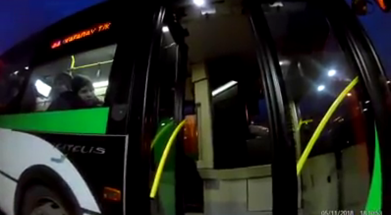 видеодан үзінді