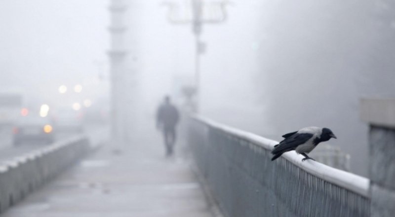 © photo.bymedia.net